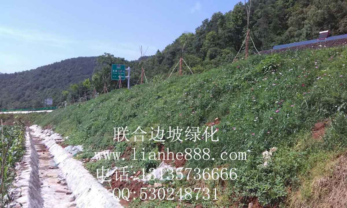 貴州、安順滬昆高鐵項(xiàng)目